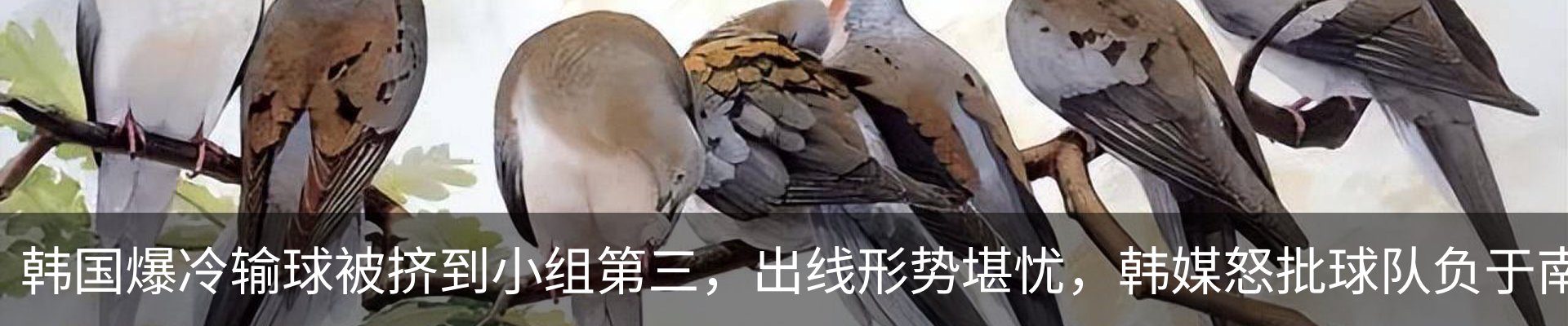 资讯动态
